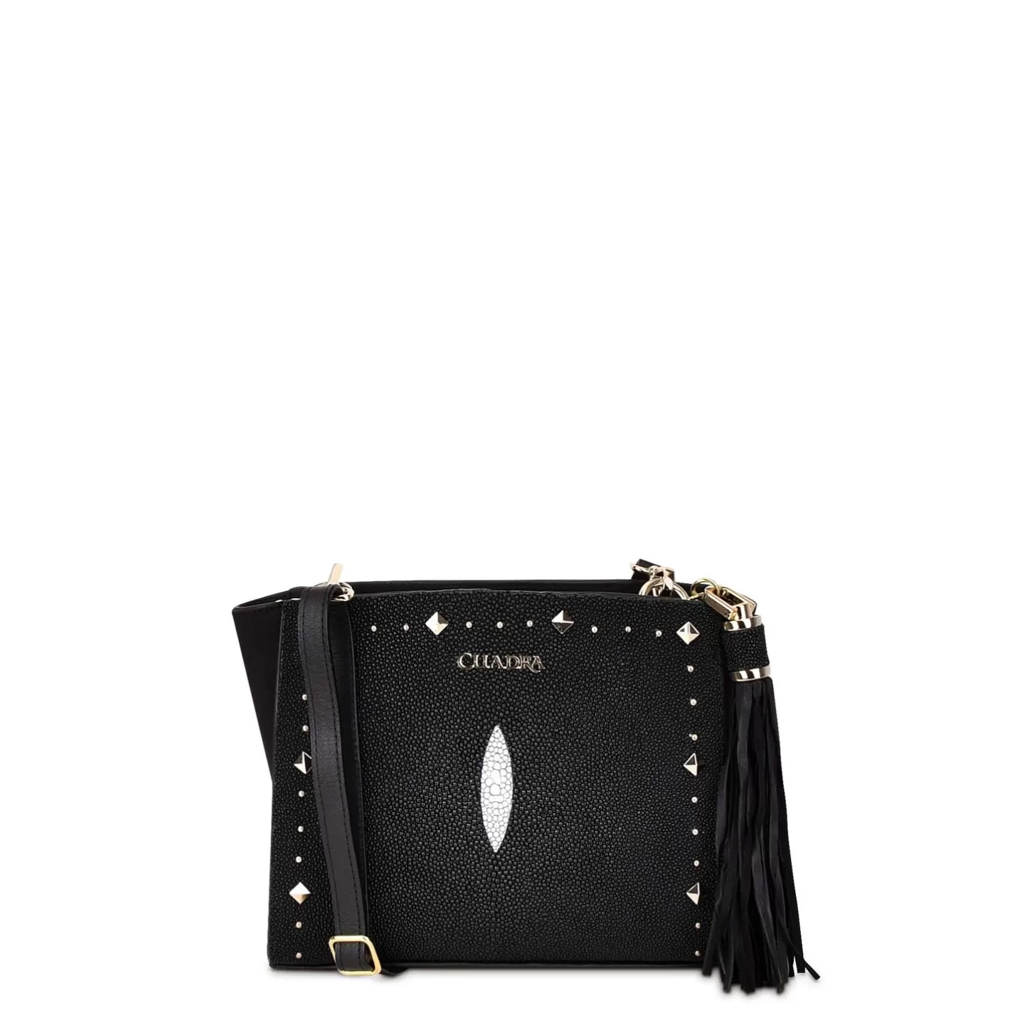 Cuadra Studded Black Leather Crossbody Bag Hot