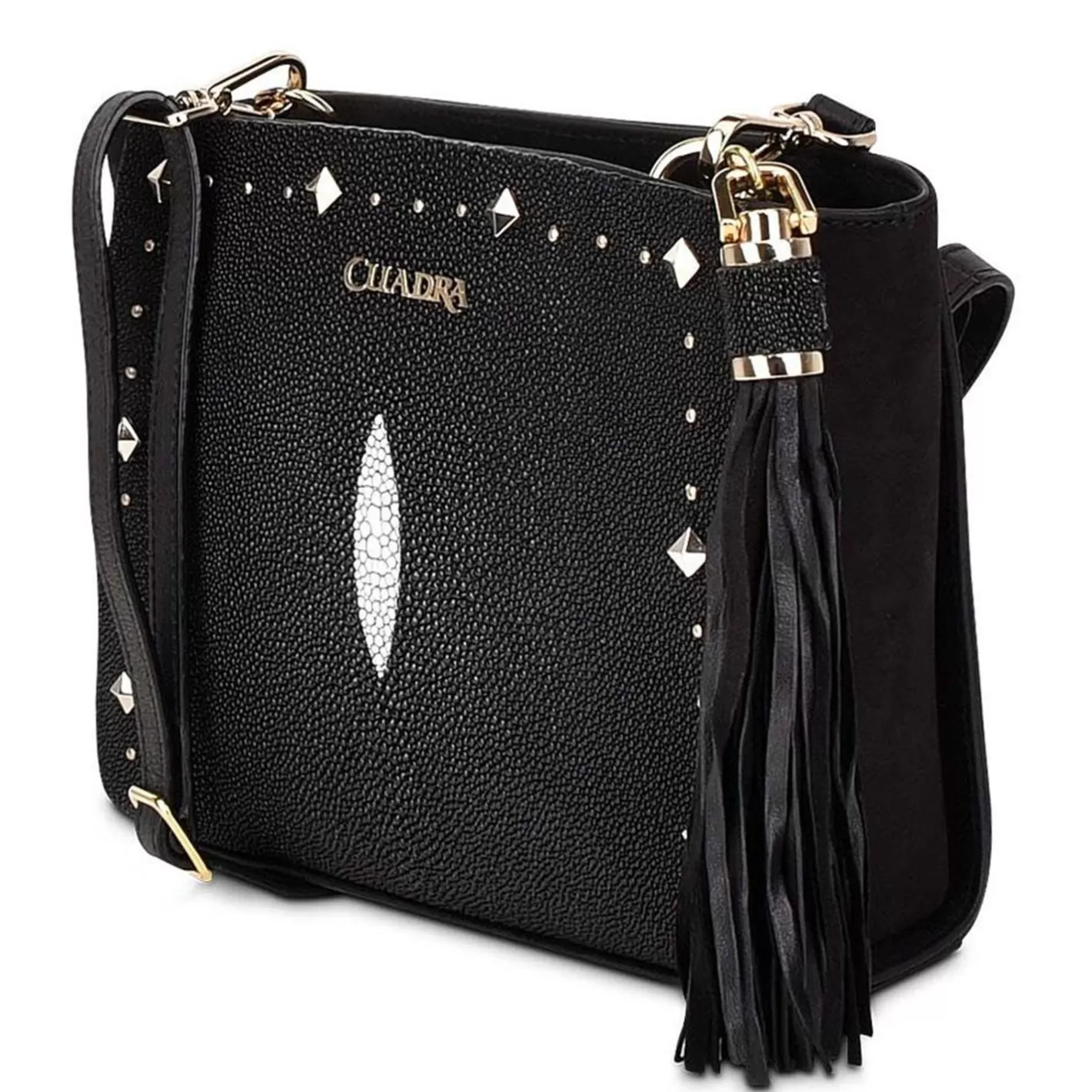 Cuadra Studded Black Leather Crossbody Bag Hot